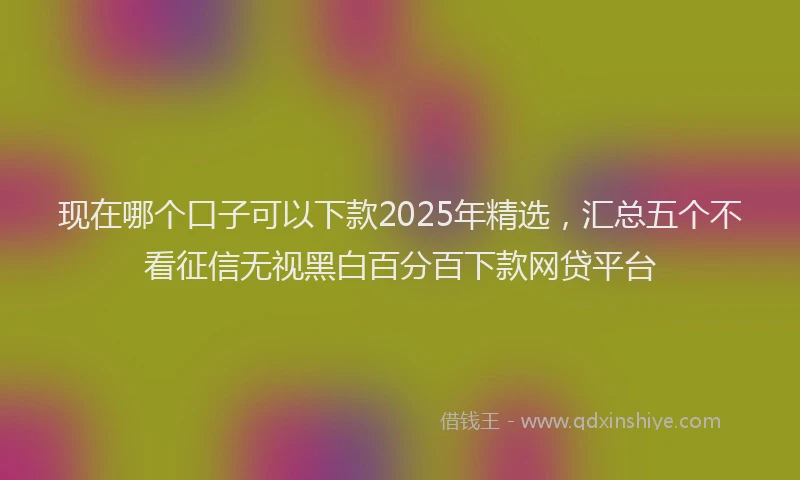 现在哪个口子可以下款2025年精选，汇总五个不看征信无视黑白百分百下款网贷平台