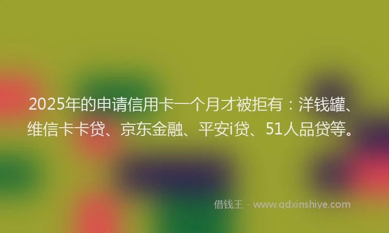2025年的申请信用卡一个月才被拒有：洋钱罐、维信卡卡贷、京东金融、平安i贷、51人品贷等。