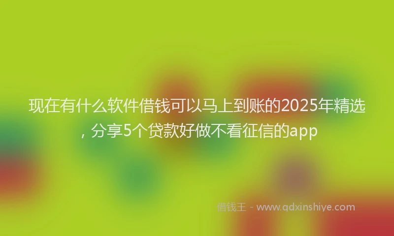 现在有什么软件借钱可以马上到账的2025年精选，分享5个贷款好做不看征信的app
