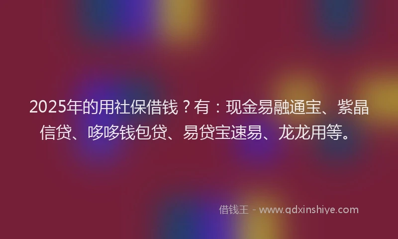 2025年的用社保借钱？有：现金易融通宝、紫晶信贷、哆哆钱包贷、易贷宝速易、龙龙用等。