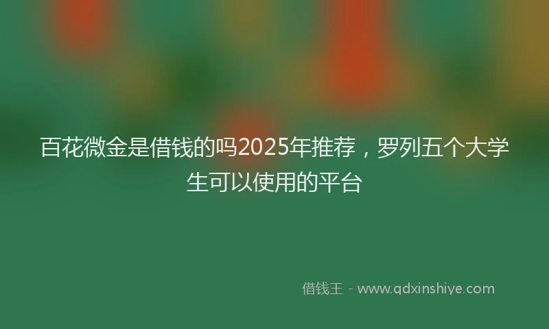 百花微金是借钱的吗2025年推荐，罗列五个大学生可以使用的平台