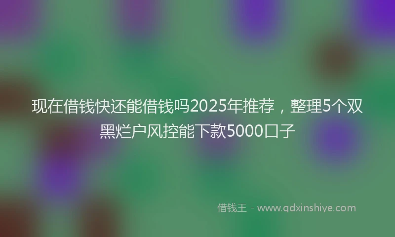 现在借钱快还能借钱吗2025年推荐，整理5个双黑烂户风控能下款5000口子