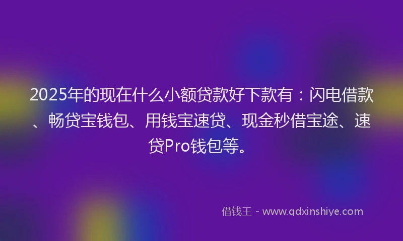 2025年的现在什么小额贷款好下款有：闪电借款、畅贷宝钱包、用钱宝速贷、现金秒借宝途、速贷Pro钱包等。