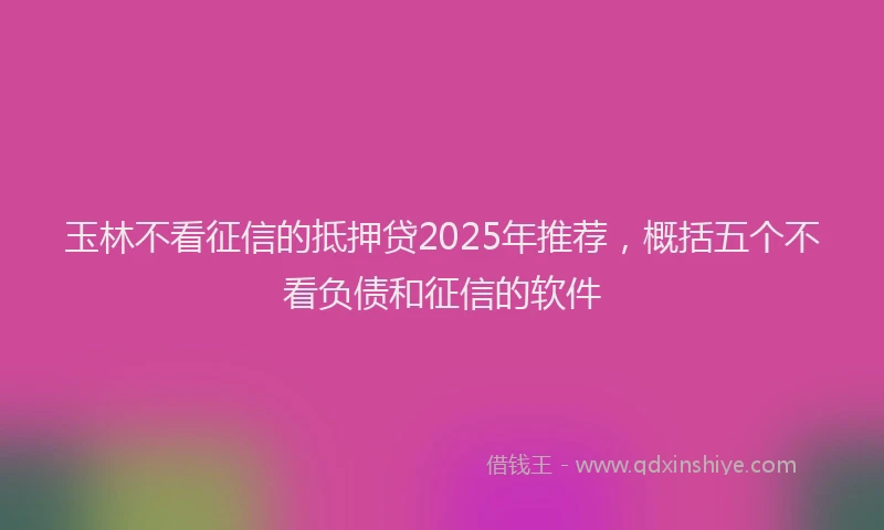 玉林不看征信的抵押贷2025年推荐，概括五个不看负债和征信的软件
