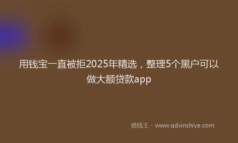 用钱宝一直被拒2025年精选，整理5个黑户可以做大额贷款app