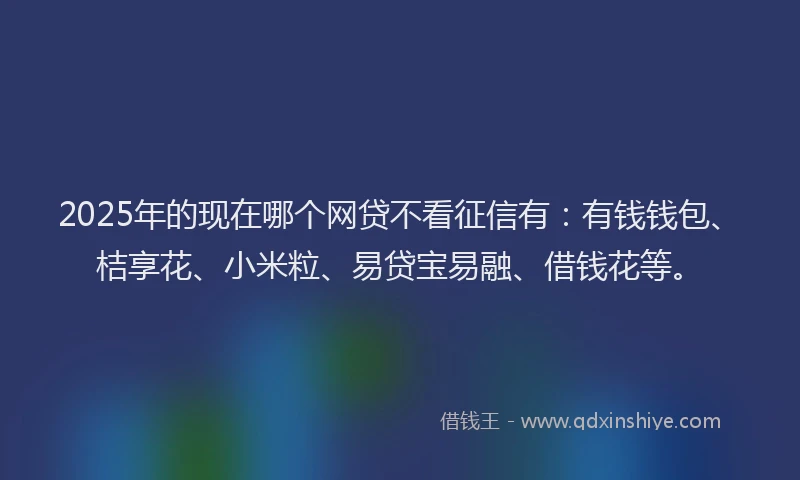 2025年的现在哪个网贷不看征信有：有钱钱包、桔享花、小米粒、易贷宝易融、借钱花等。