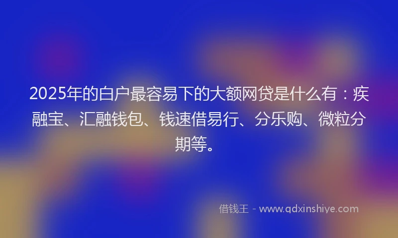2025年的白户最容易下的大额网贷是什么有：疾融宝、汇融钱包、钱速借易行、分乐购、微粒分期等。