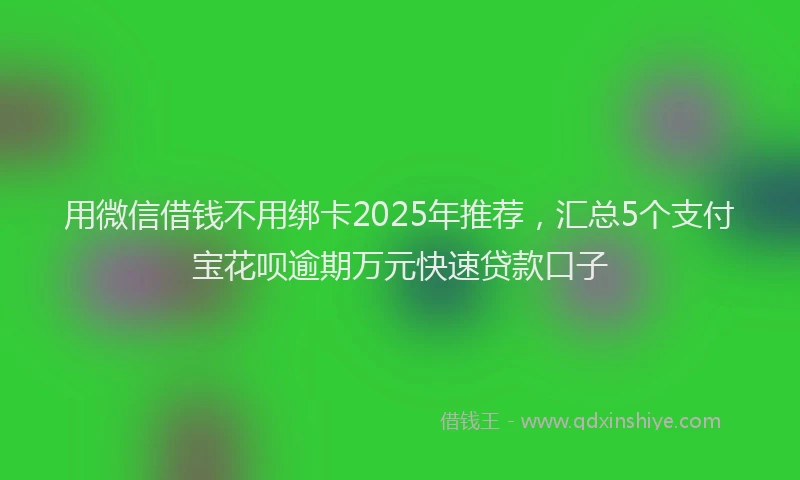 用微信借钱不用绑卡2025年推荐，汇总5个支付宝花呗逾期万元快速贷款口子
