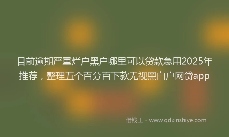 目前逾期严重烂户黑户哪里可以贷款急用2025年推荐，整理五个百分百下款无视黑白户网贷app
