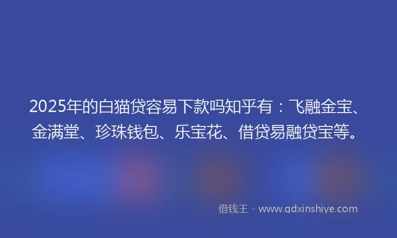 2025年的白猫贷容易下款吗知乎有：飞融金宝、金满堂、珍珠钱包、乐宝花、借贷易融贷宝等。