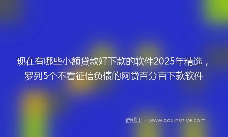 现在有哪些小额贷款好下款的软件2025年精选，罗列5个不看征信负债的网贷百分百下款软件
