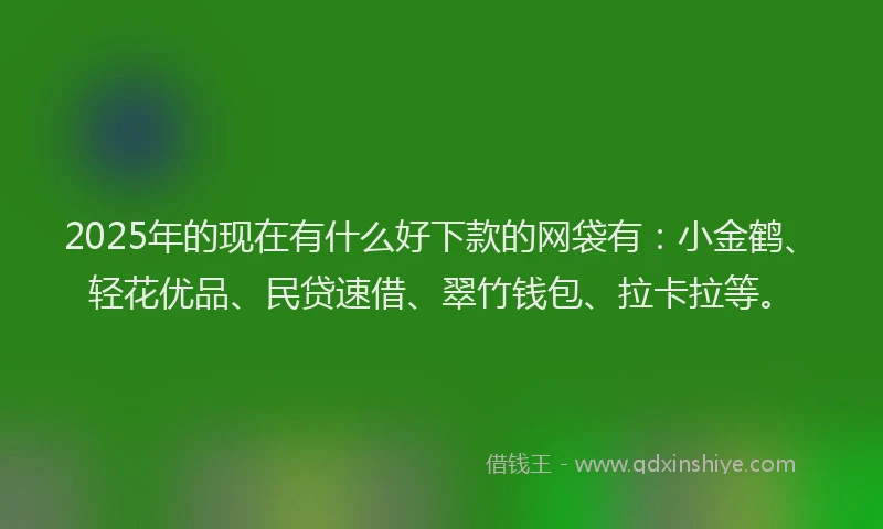 2025年的现在有什么好下款的网袋有：小金鹤、轻花优品、民贷速借、翠竹钱包、拉卡拉等。