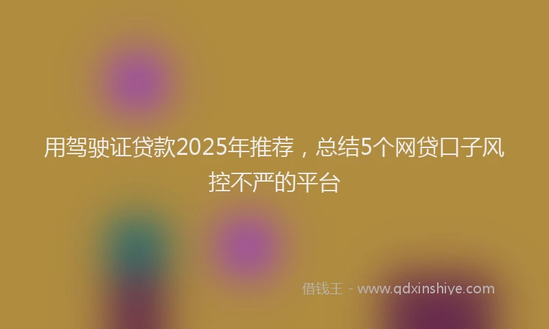 用驾驶证贷款2025年推荐，总结5个网贷口子风控不严的平台