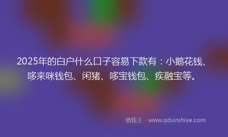 2025年的白户什么口子容易下款有：小鹅花钱、哆来咪钱包、闲猪、哆宝钱包、疾融宝等。