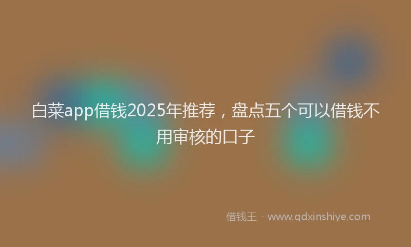 白菜app借钱2025年推荐，盘点五个可以借钱不用审核的口子