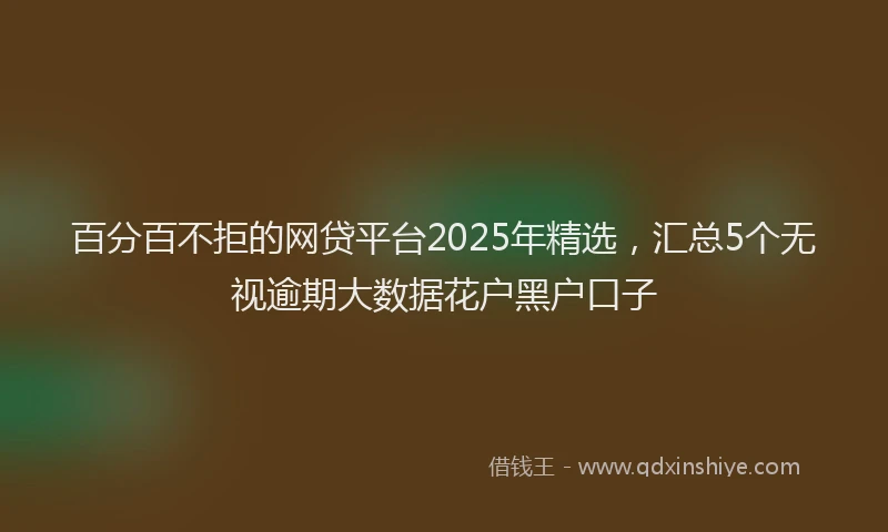百分百不拒的网贷平台2025年精选，汇总5个无视逾期大数据花户黑户口子