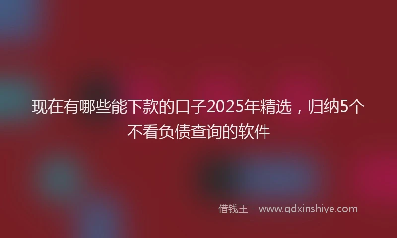 现在有哪些能下款的口子2025年精选，归纳5个不看负债查询的软件