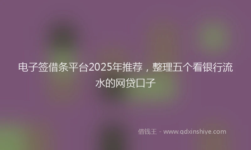 电子签借条平台2025年推荐，整理五个看银行流水的网贷口子