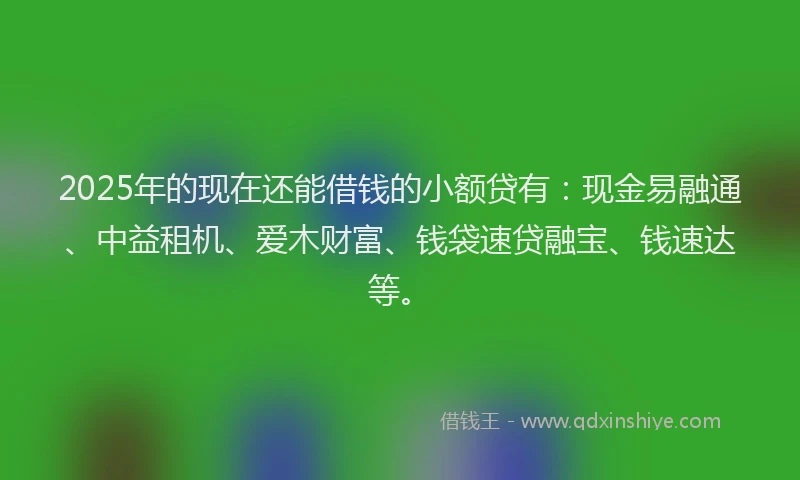2025年的现在还能借钱的小额贷有：现金易融通、中益租机、爱木财富、钱袋速贷融宝、钱速达等。