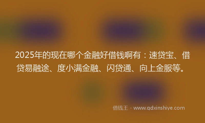 2025年的现在哪个金融好借钱啊有：速贷宝、借贷易融途、度小满金融、闪贷通、向上金服等。