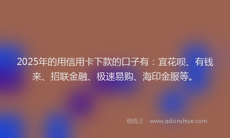 2025年的用信用卡下款的口子有：宜花呗、有钱来、招联金融、极速易购、海印金服等。