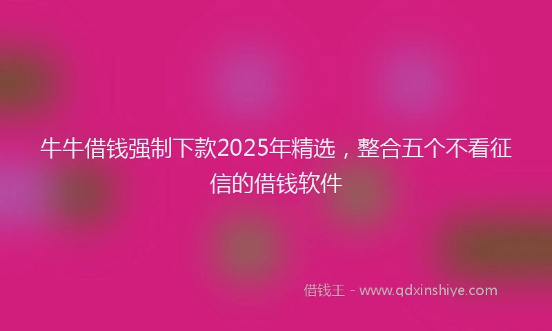 牛牛借钱强制下款2025年精选，整合五个不看征信的借钱软件
