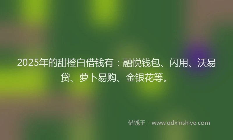 2025年的甜橙白借钱有：融悦钱包、闪用、沃易贷、萝卜易购、金银花等。