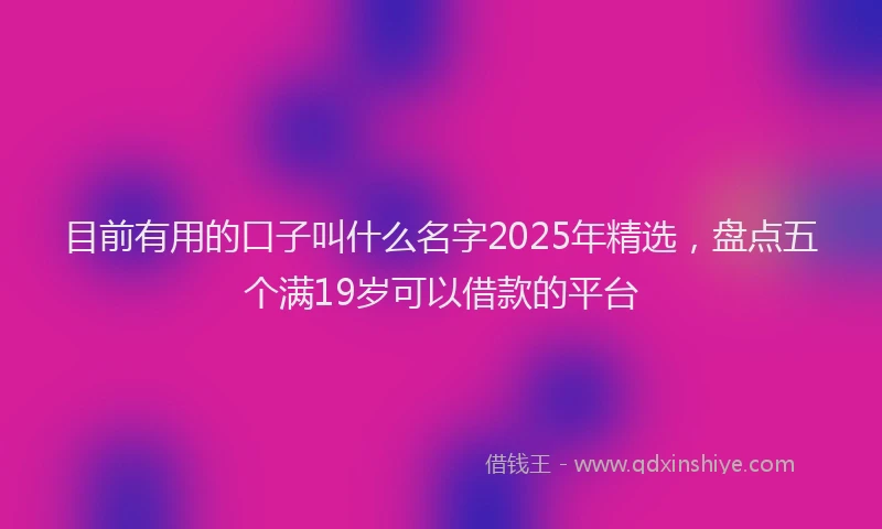 目前有用的口子叫什么名字2025年精选，盘点五个满19岁可以借款的平台