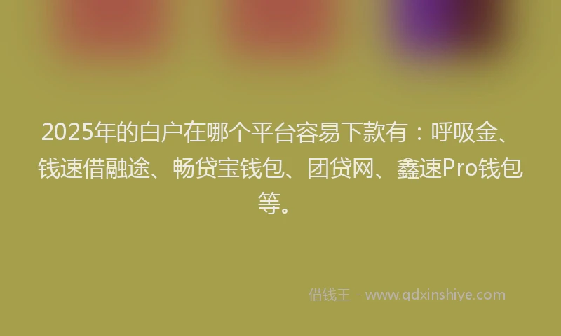 2025年的白户在哪个平台容易下款有：呼吸金、钱速借融途、畅贷宝钱包、团贷网、鑫速Pro钱包等。