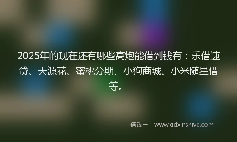 2025年的现在还有哪些高炮能借到钱有：乐借速贷、天源花、蜜桃分期、小狗商城、小米随星借等。