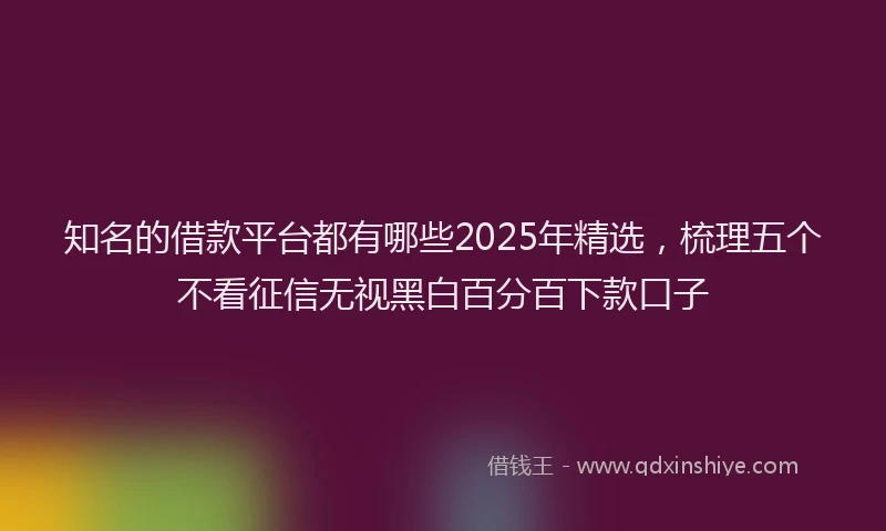 知名的借款平台都有哪些2025年精选，梳理五个不看征信无视黑白百分百下款口子