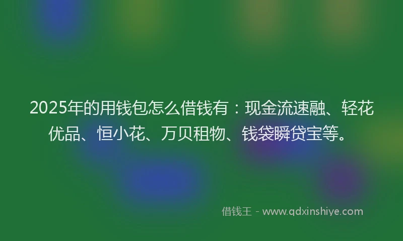 2025年的用钱包怎么借钱有：现金流速融、轻花优品、恒小花、万贝租物、钱袋瞬贷宝等。