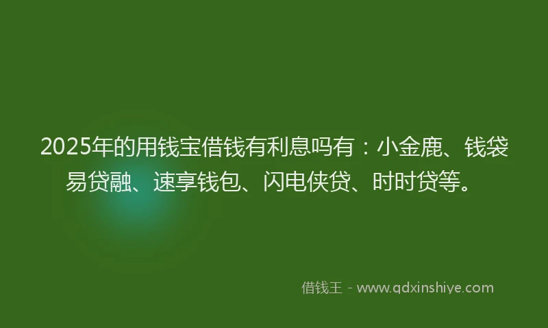 2025年的用钱宝借钱有利息吗有：小金鹿、钱袋易贷融、速享钱包、闪电侠贷、时时贷等。