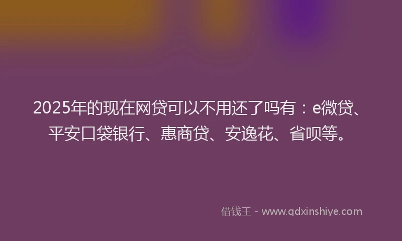 2025年的现在网贷可以不用还了吗有：e微贷、平安口袋银行、惠商贷、安逸花、省呗等。
