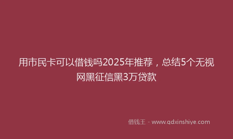 用市民卡可以借钱吗2025年推荐，总结5个无视网黑征信黑3万贷款
