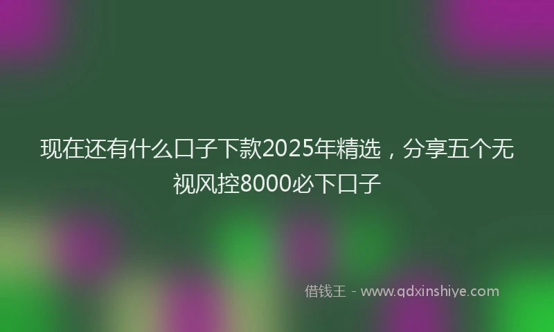 现在还有什么口子下款2025年精选，分享五个无视风控8000必下口子