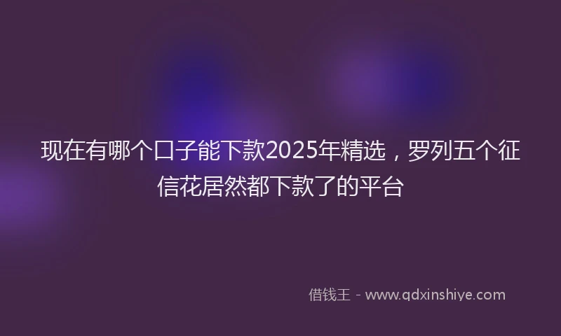 现在有哪个口子能下款2025年精选，罗列五个征信花居然都下款了的平台