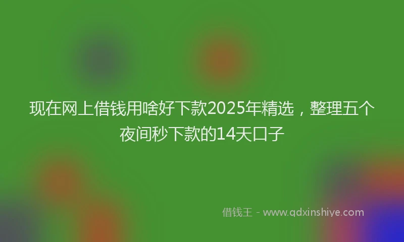 现在网上借钱用啥好下款2025年精选，整理五个夜间秒下款的14天口子