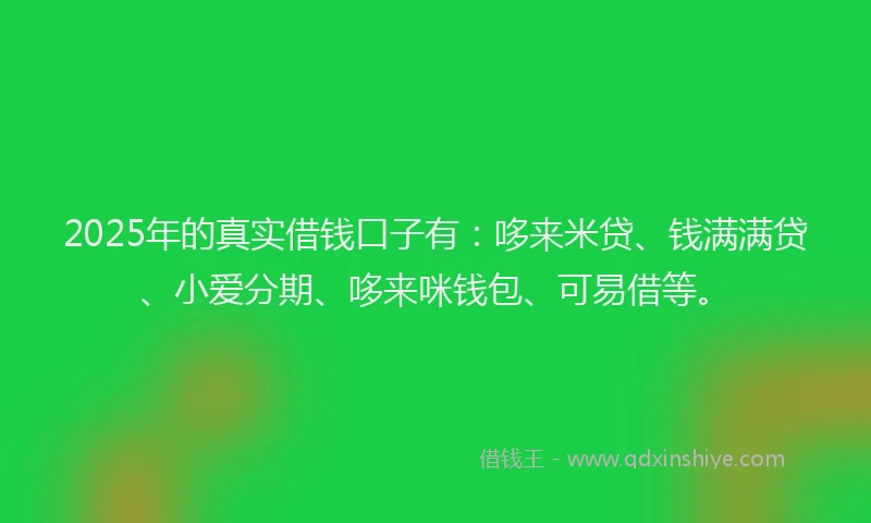 2025年的真实借钱口子有：哆来米贷、钱满满贷、小爱分期、哆来咪钱包、可易借等。