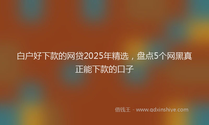 白户好下款的网贷2025年精选，盘点5个网黑真正能下款的口子