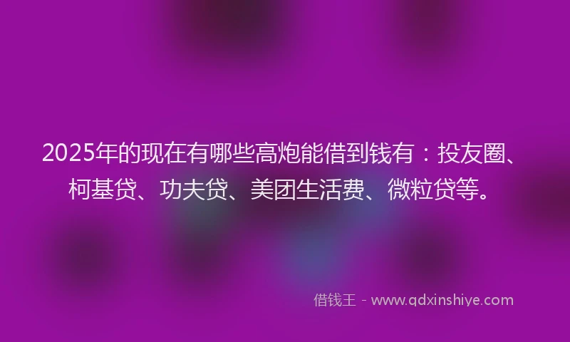 2025年的现在有哪些高炮能借到钱有：投友圈、柯基贷、功夫贷、美团生活费、微粒贷等。