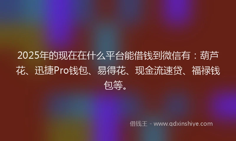 2025年的现在在什么平台能借钱到微信有：葫芦花、迅捷Pro钱包、易得花、现金流速贷、福禄钱包等。