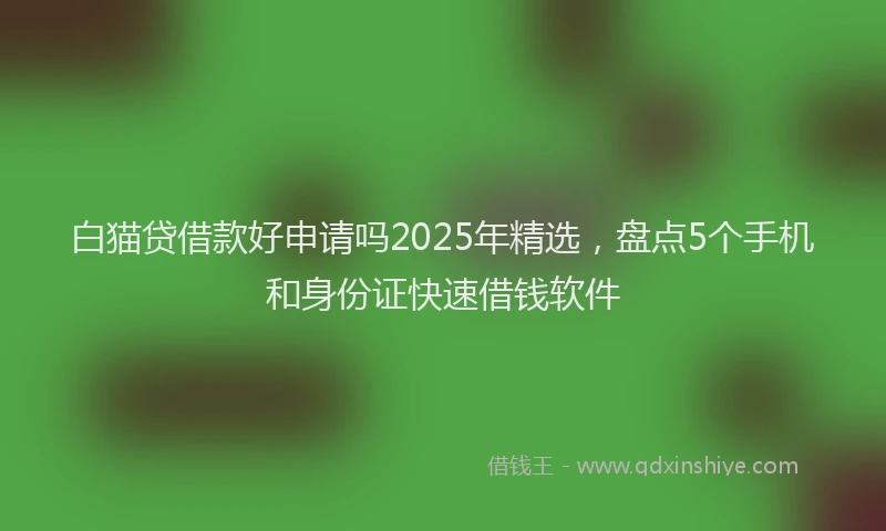 白猫贷借款好申请吗2025年精选，盘点5个手机和身份证快速借钱软件