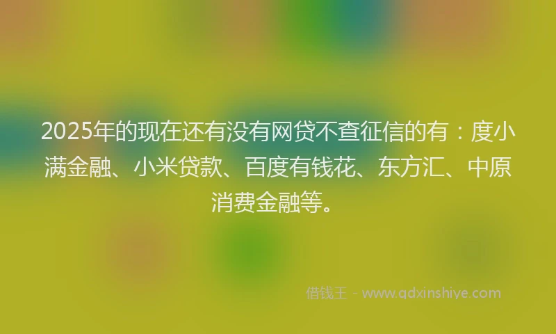 2025年的现在还有没有网贷不查征信的有：度小满金融、小米贷款、百度有钱花、东方汇、中原消费金融等。