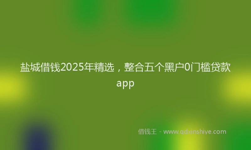 盐城借钱2025年精选，整合五个黑户0门槛贷款app