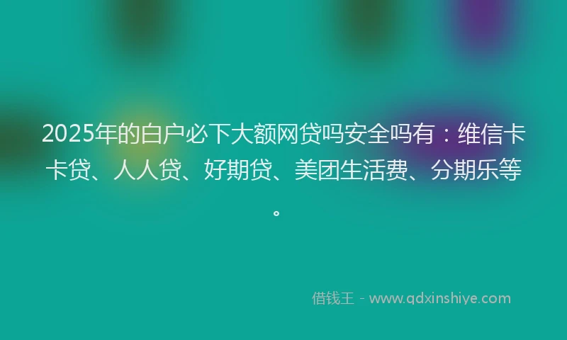 2025年的白户必下大额网贷吗安全吗有：维信卡卡贷、人人贷、好期贷、美团生活费、分期乐等。