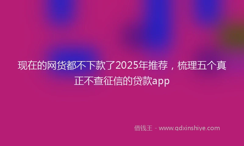 现在的网货都不下款了2025年推荐，梳理五个真正不查征信的贷款app