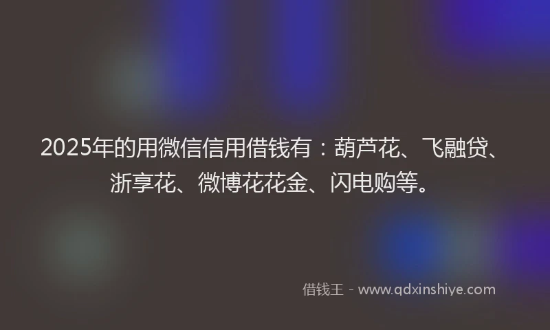 2025年的用微信信用借钱有：葫芦花、飞融贷、浙享花、微博花花金、闪电购等。