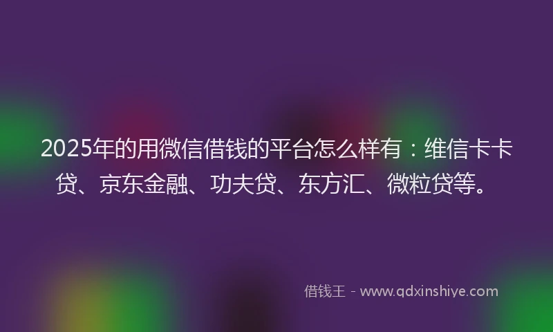2025年的用微信借钱的平台怎么样有：维信卡卡贷、京东金融、功夫贷、东方汇、微粒贷等。