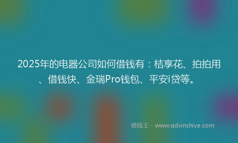 2025年的电器公司如何借钱有：桔享花、拍拍用、借钱快、金瑞Pro钱包、平安i贷等。